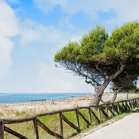 Apartment Modern Flat With Outdoor Space